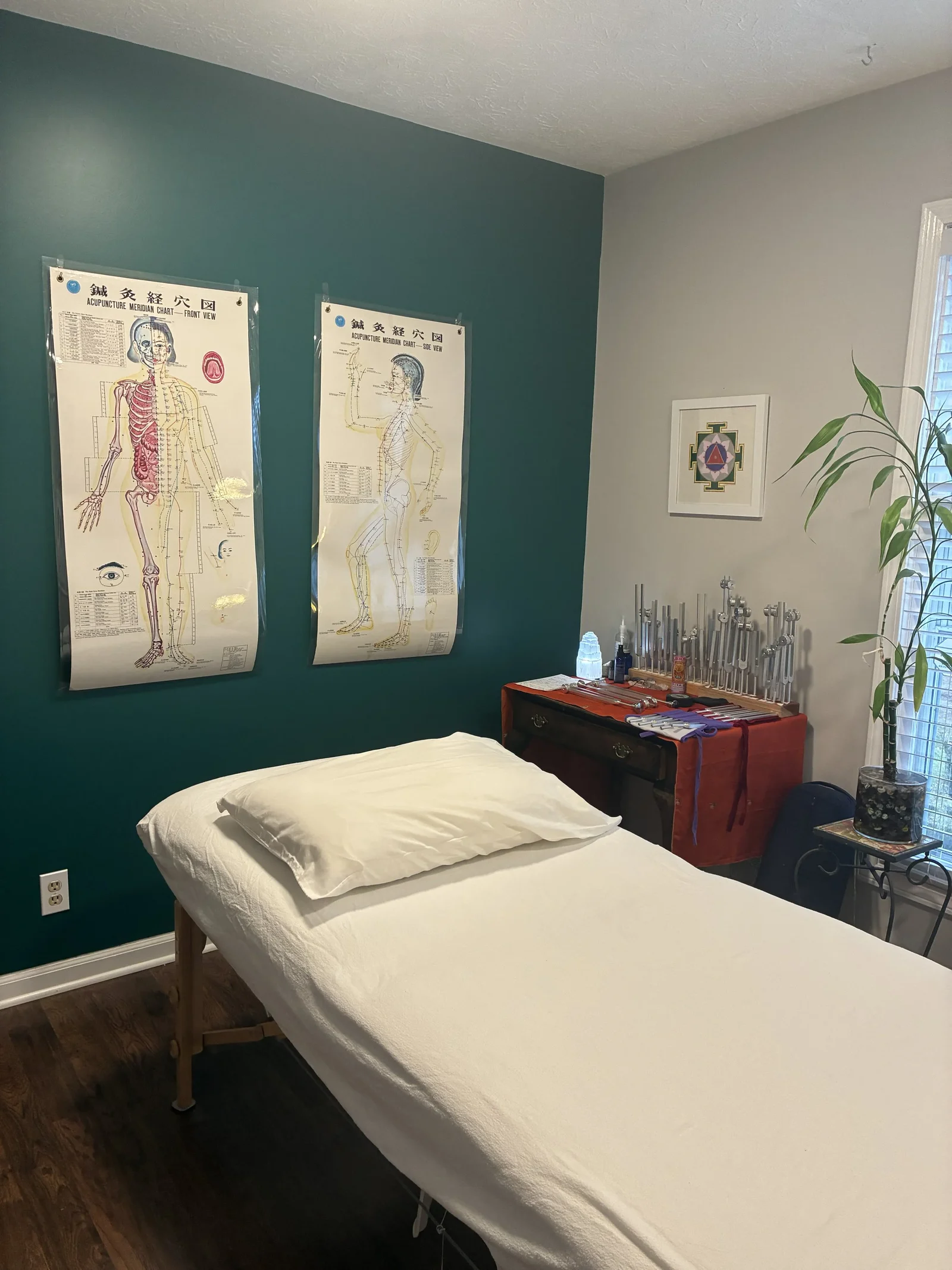 Treatment room with a green wall and acupuncture charts